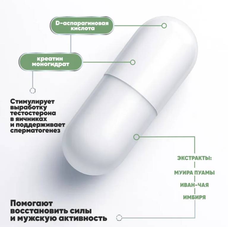 Результаты приема Alfa Play